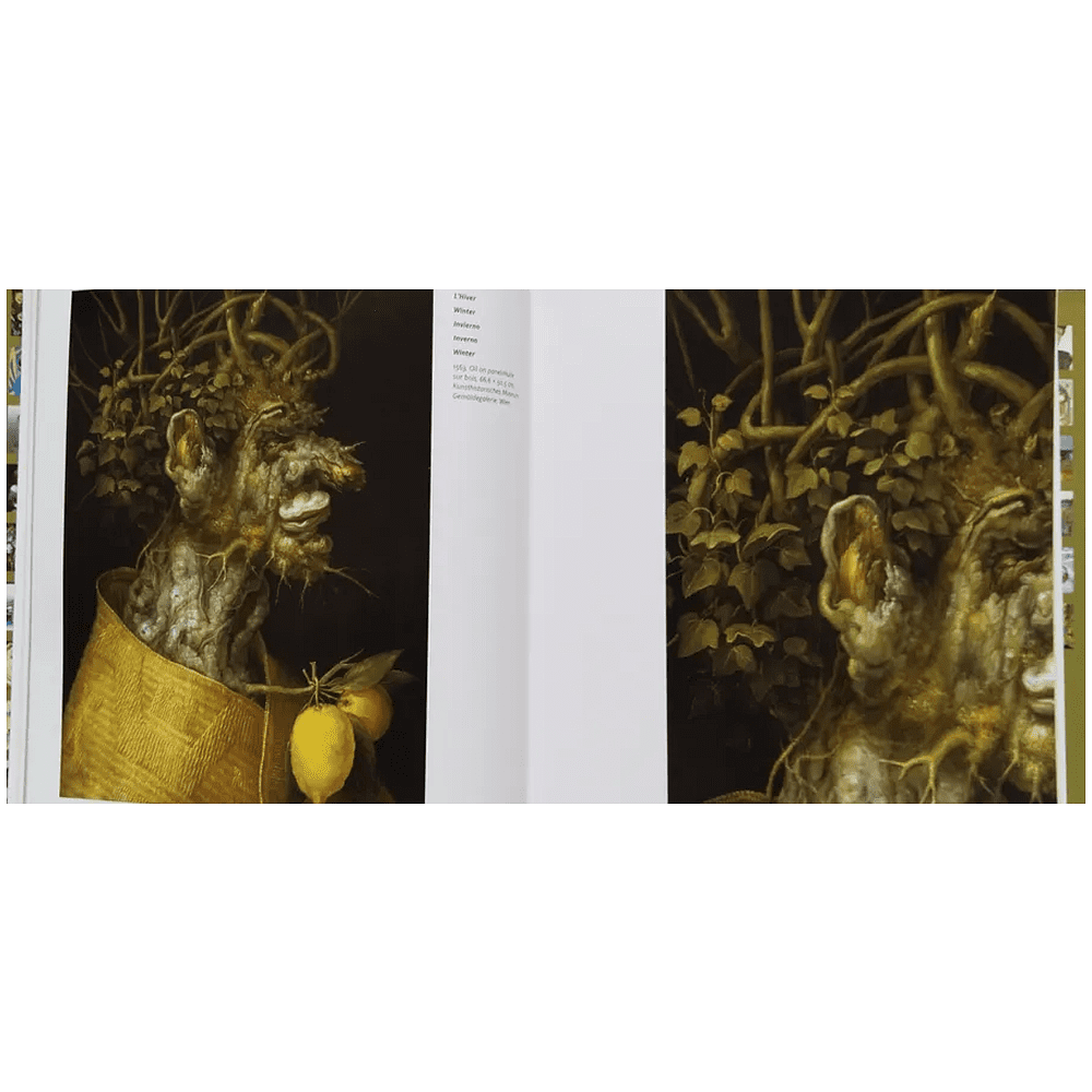 Книга на иностранных языках "Arcimboldo", Armelle Femelat - 5