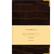 Ежедневник недатированный "Impact", A5, 152 листа, темно-коричневый