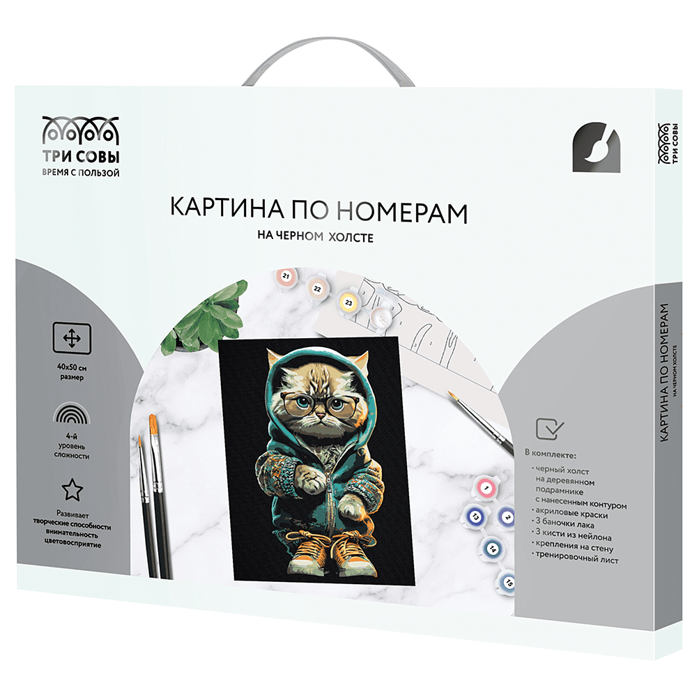 Картина по номерам "Стильный кот"
