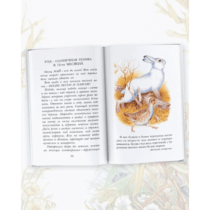 Книга "Детское чтение. Лесная газета. Рассказы", Виталий Бианки - 6