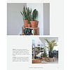 Книга "Зеленый дом. Самое понятное руководство по уходу за комнатными растениями", Дэррил Ченг - 10