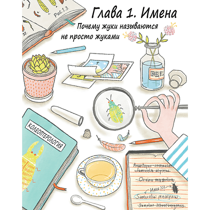 Книга "Сэм и эволюция: Краткая история эволюционной биологии", Андреа Грилль, иллюстрации Раффаэла Шёбиц - 3