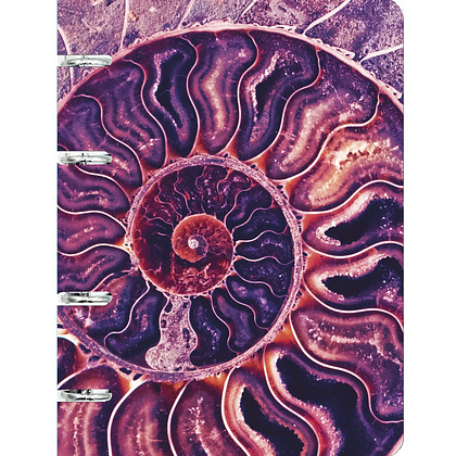Тетрадь на кольцах "Наутилус", А5, 100 листов, клетка, фиолетовый