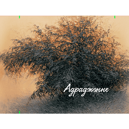 Кошелек "Куст”, Валерий Шкарубо, текстиль, разноцветный - 3