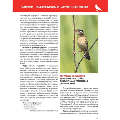 Книга "Красная книга Республики Беларусь. Животные" - 8