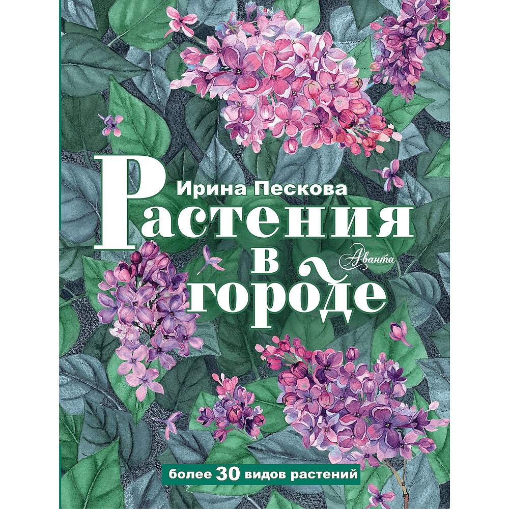 Книга "Растения в городе", Ирина Пескова
