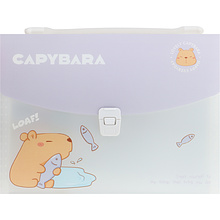 Папка-портфель "Capybara", ассорти