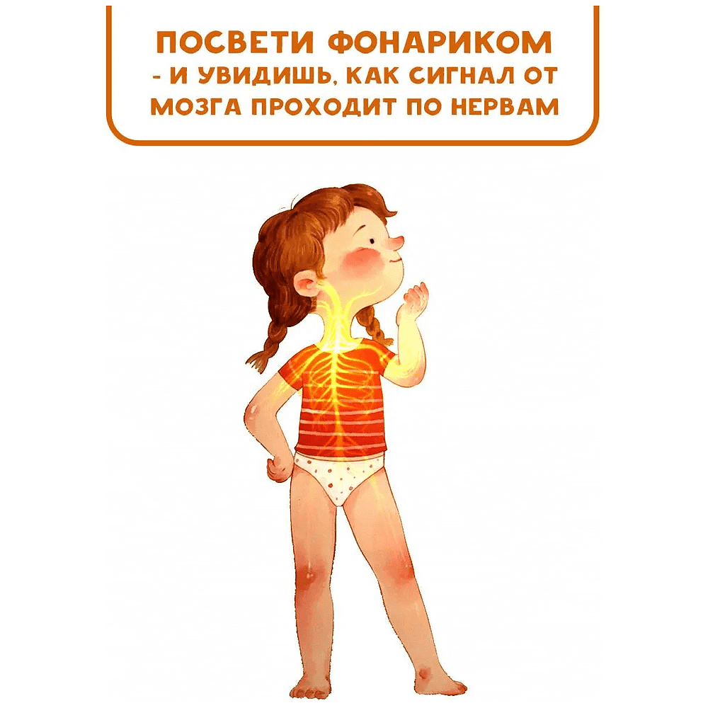 Книга "Все секреты человека", Марина Сушкова - 4