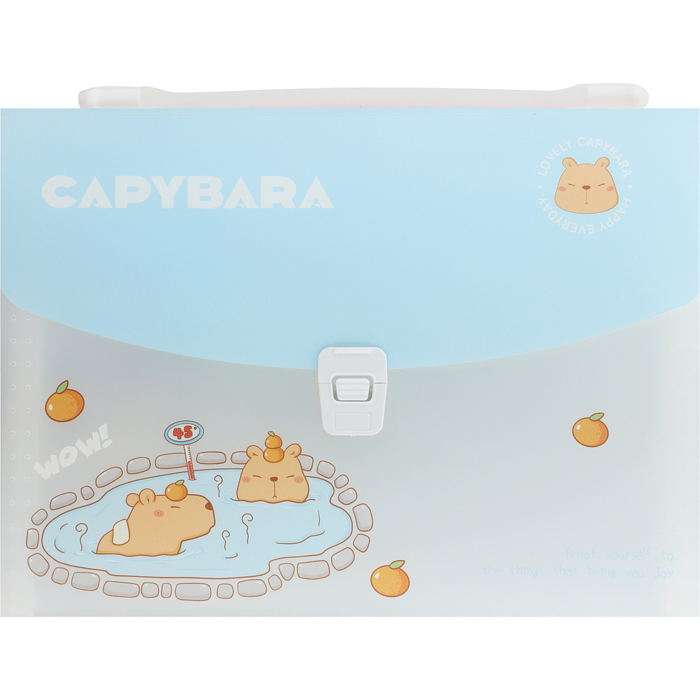 Папка-портфель "Capybara", ассорти - 3