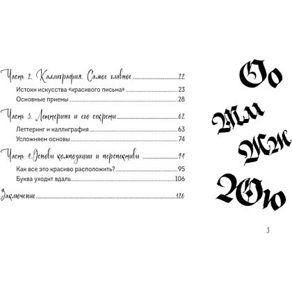 Книга "Скетчбук по леттерингу и каллиграфии. Простые пошаговые уроки по созданию текстовых композиций", Анна Николаева - 5