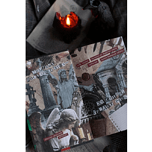 Книга "Общество забытых мучеников", Анви Рид