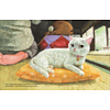 Книга "Кот без имени", Фумико Такэсита, иллюстрации Матида Наоко - 4