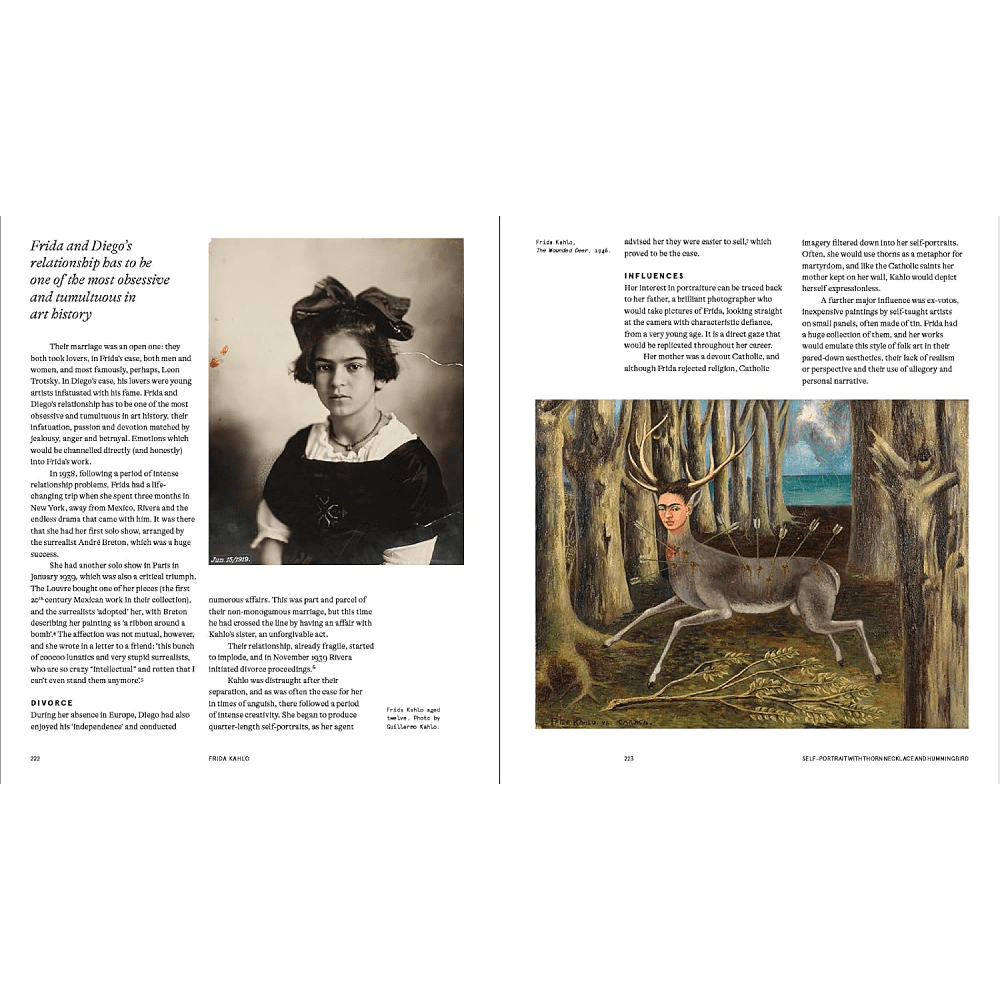 Книга на английском языке "Great Art Explained. The Stories Behind the World's Greatest Masterpieces", James Payne - 5