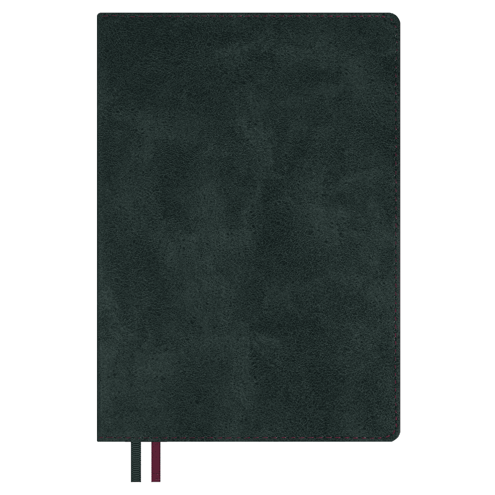 Ежедневник полудатированный "Тиволи Делавэ", А5, 384 страницы, зелёный
