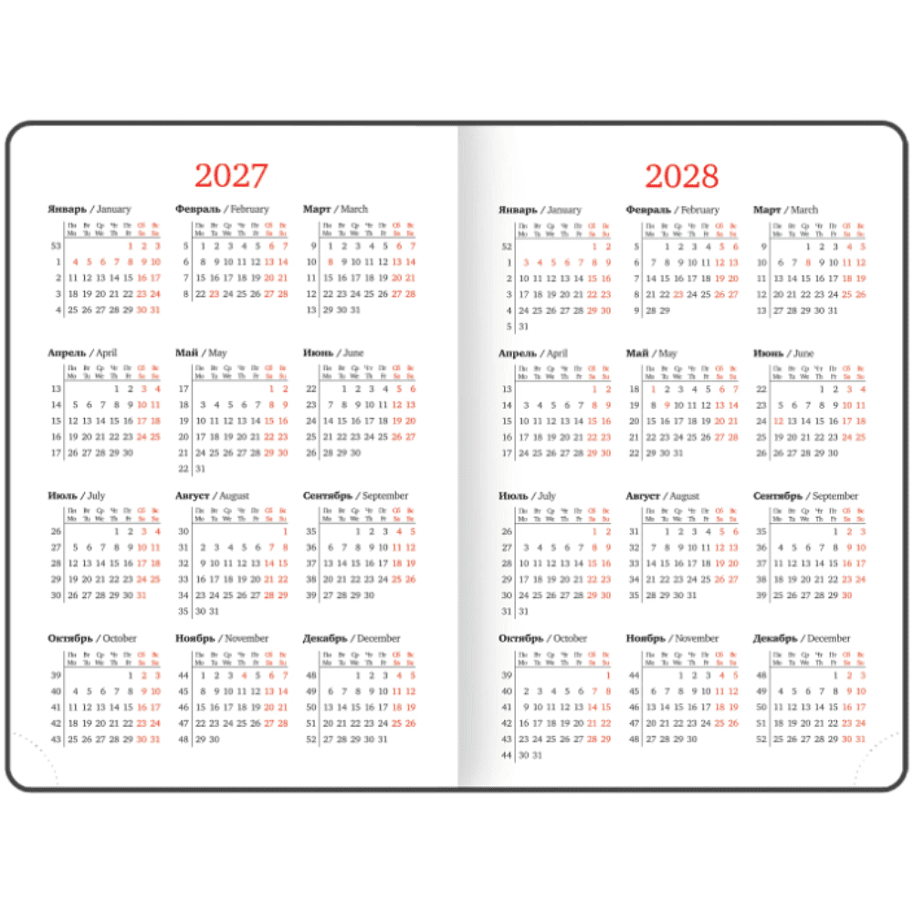 Ежедневник датированный "Plain" на 2027 год, А5, 352 страницы, красный - 6