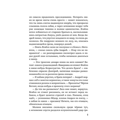 Книга "Цветы вереска. Книга 1: Песня о соколе", Наталья Станкевич - 7
