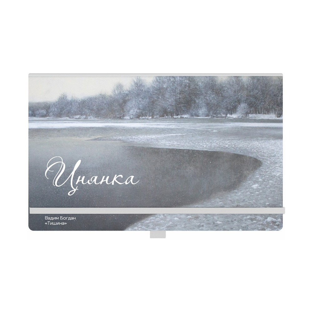 Ежедневник недатированный "Тишина", Вадим Богдан, А5, 272 стр., разноцветный - 2