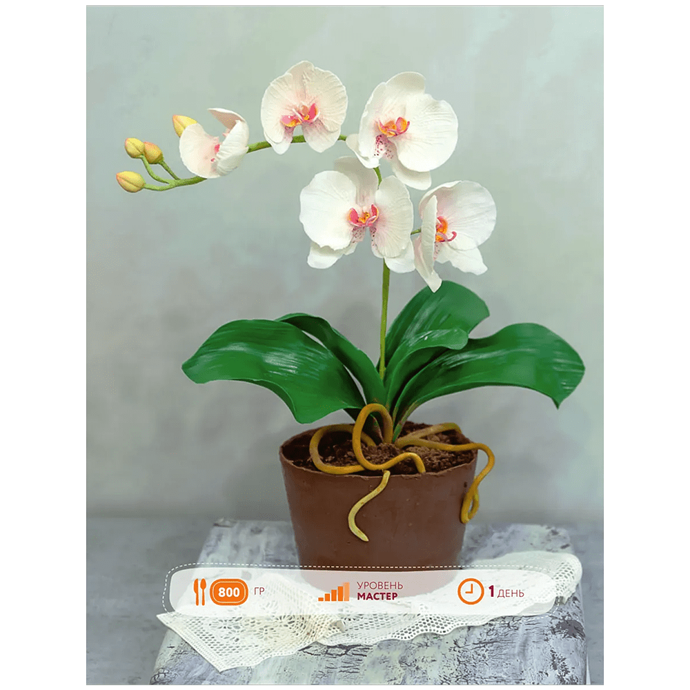 Книга "Кондитерское искусство. От новичка до мастера", Инна Сапегина - 8