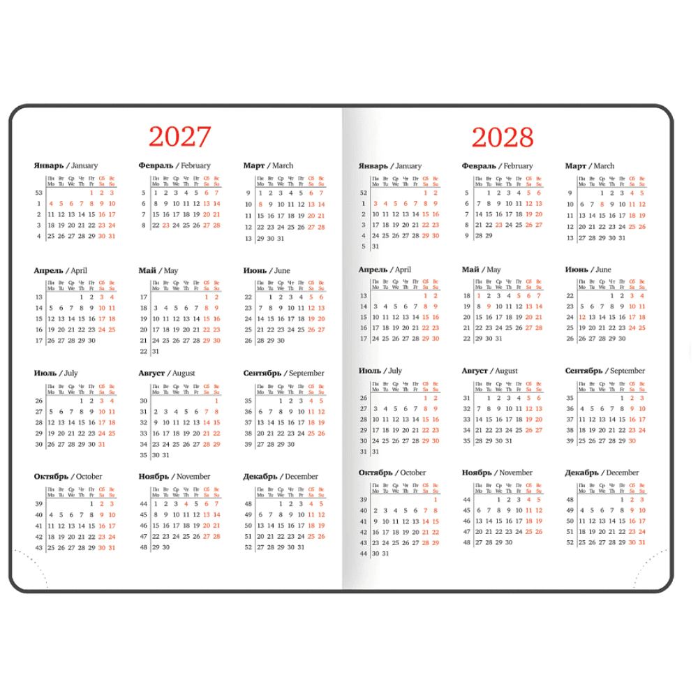 Ежедневник датированный "Control" на 2027 год, А5, 352 страницы, черный  - 6