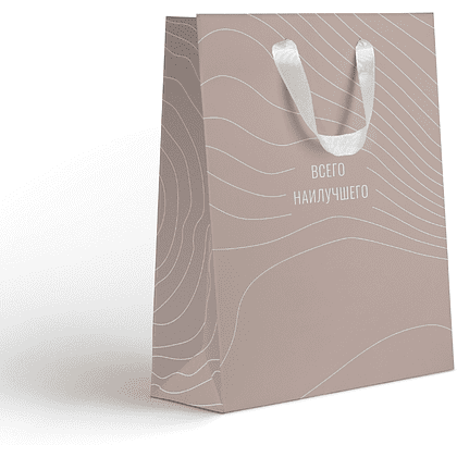 Пакет бумажный подарочный "Country MT", 18х22.7х10 см, ассорти