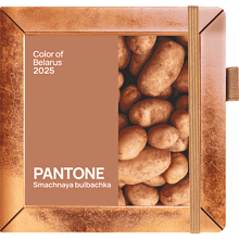 Скетчбук "Pantone 2025", 12х12 см, 140 г/м2, 80 листов, капучино
