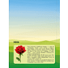 Книга "Рисуем наклейками. Магия цветов" - 3
