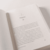 Книга "Спасая Винсента", Джоан Фернандес - 7