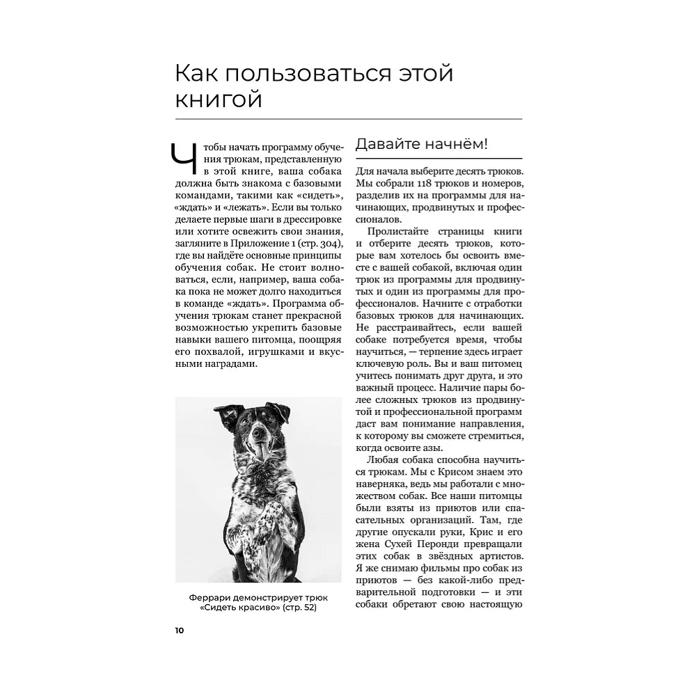 Книга "Собака, которая умеет всё. Пошаговое руководство по 118 удивительным трюкам", Ларри Кей, Крис Перонди - 8