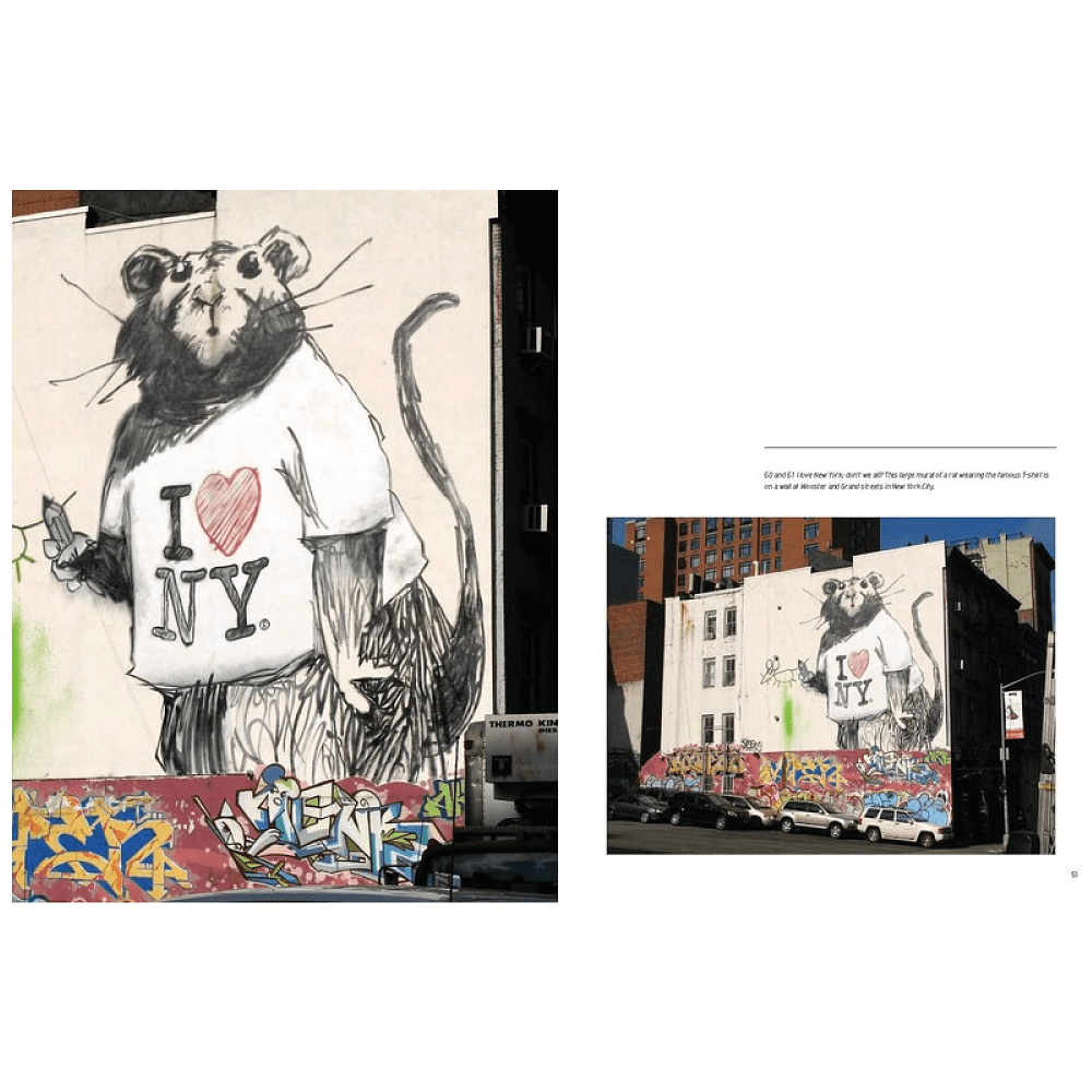 Книга на английском языке "Banksy", Alessandra Mattanza - 4