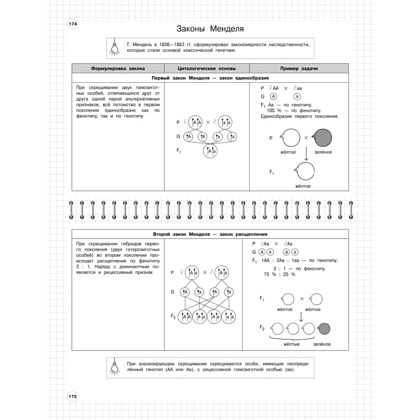 Книга "Школьный курс в наглядных таблицах. Биология: 5-11 классы", Мазур О., Никитинская Т. - 5