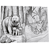 Раскраска "3D РАСКРАСКА. Дикие животные" - 2