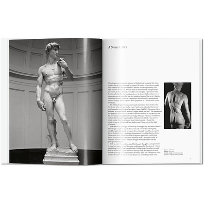 Книга "Basic Art, Michelangelo", (Английский язык) - 5