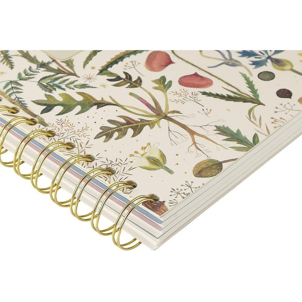 Книга записная "Flora. Луговые травы", А5, 150х210 мм, 120 листов, белый - 5