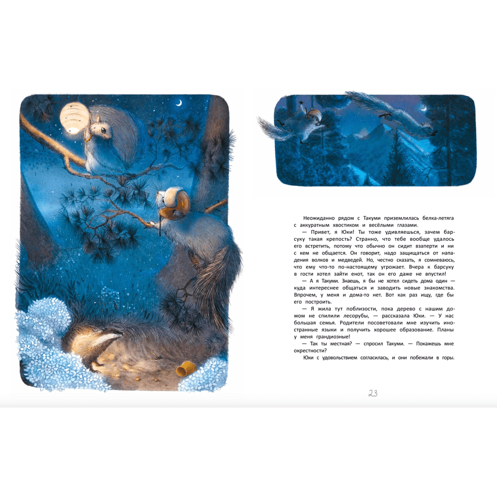 Книга "Летяга Такуми в Японии", Гаврилов А., Третьякова Е. - 4