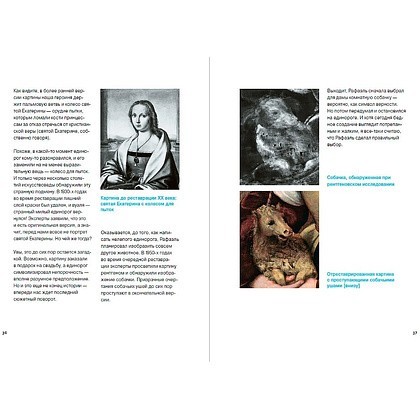 Книга "Дивный мир нелепых лиц: Не самый серьезный взгляд на серьезное искусство", Ван Мирло Маттейс - 3