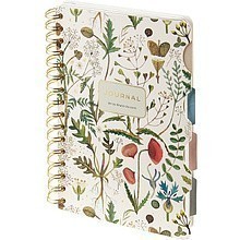 Книга записная "Flora. Луговые травы", А5, 150х210 мм, 120 листов, белый
