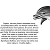 Книга "Тайна кита-оборотня (#4)", Катя Брандис - 5