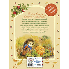 Книга "Верхом на тыкве на конкурс урожая", Вероника Медведева