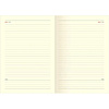 Ежедневник недатированный InFolio "365days", А5, 320 страниц, голубой - 3