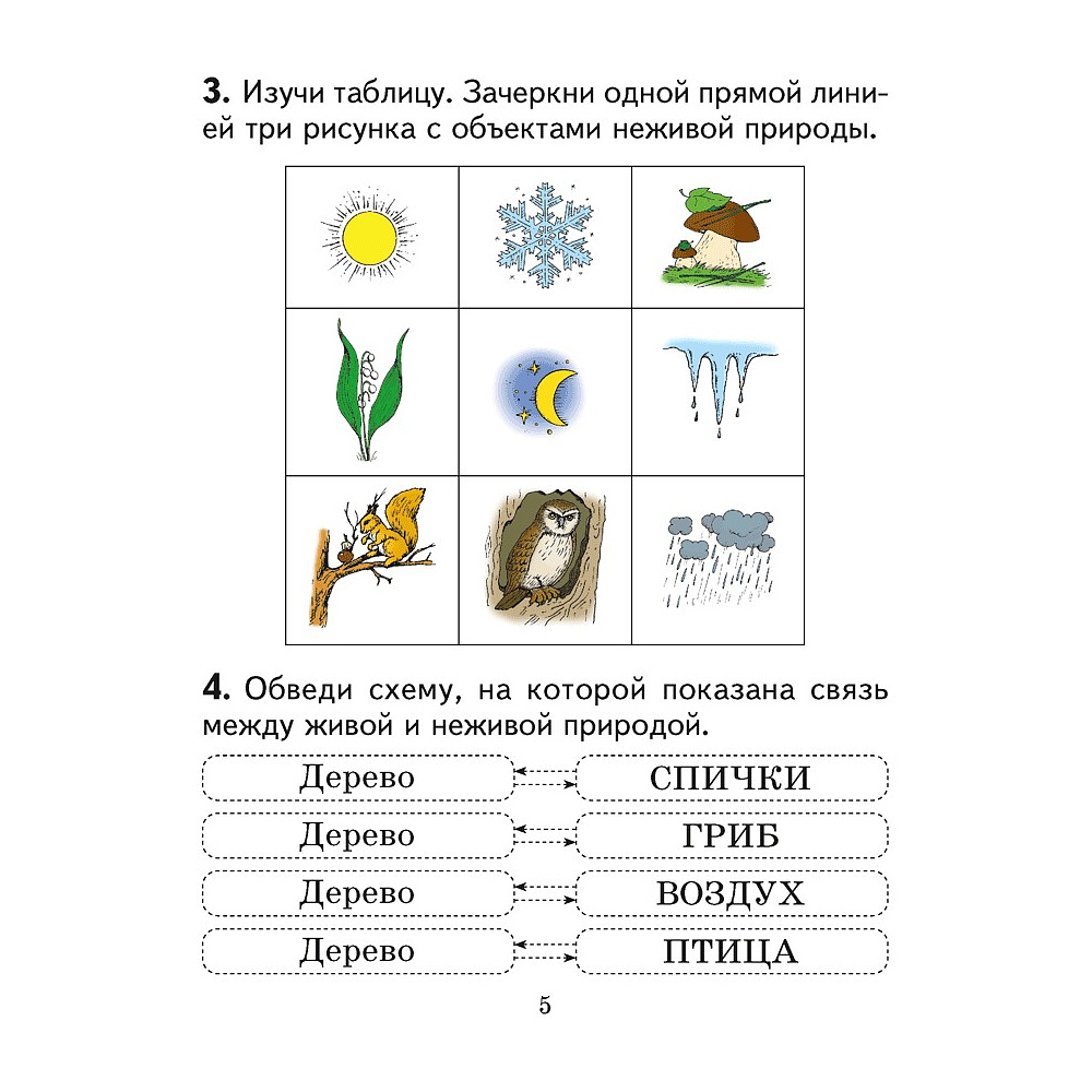 Человек и мир. 2 класс. Практикум (с цветными иллюстрациями), Трафимова Г. В., Трафимов С. А. - 4