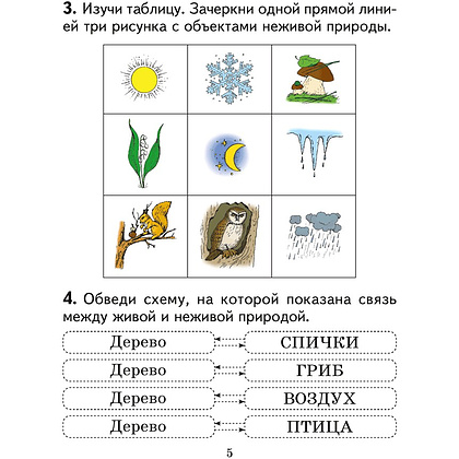 Человек и мир. 2 класс. Практикум (с цветными иллюстрациями), Трафимова Г. В., Трафимов С. А. - 4