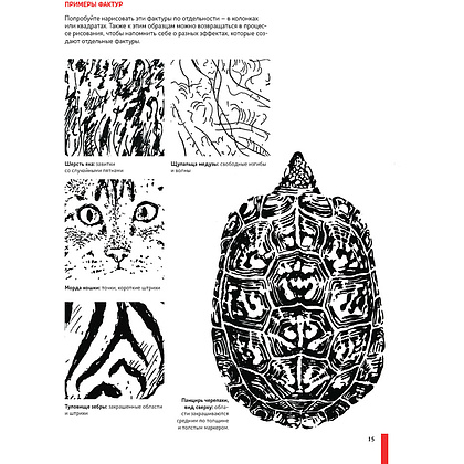 Книга "Рисуем животных ручками и маркерами.26 реалистичных проектов" , Д. Миллер - 4