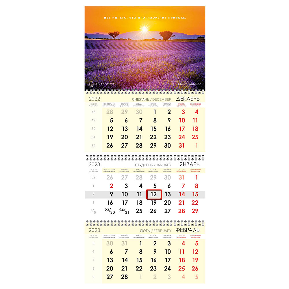 Календарь настенный "Clairefontaine Exacompta" на 2023 год
