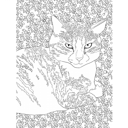 Раскраска "Раскраска Кототерапия. Котики, которые успокаивают", Анастасия Токарева - 6