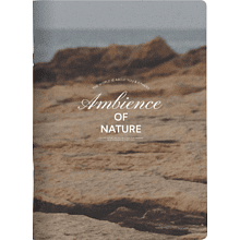 Тетрадь "Ambience скала", A4, 48 листов, клетка, разноцветный