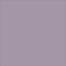 Краски декоративные "INDOOR & OUTDOOR", 50 мл, 5515 серовато-фиолетовый