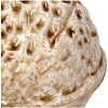 Шкатулка керамическая "Walnut", 10х9.5х11 см, коричневый - 4