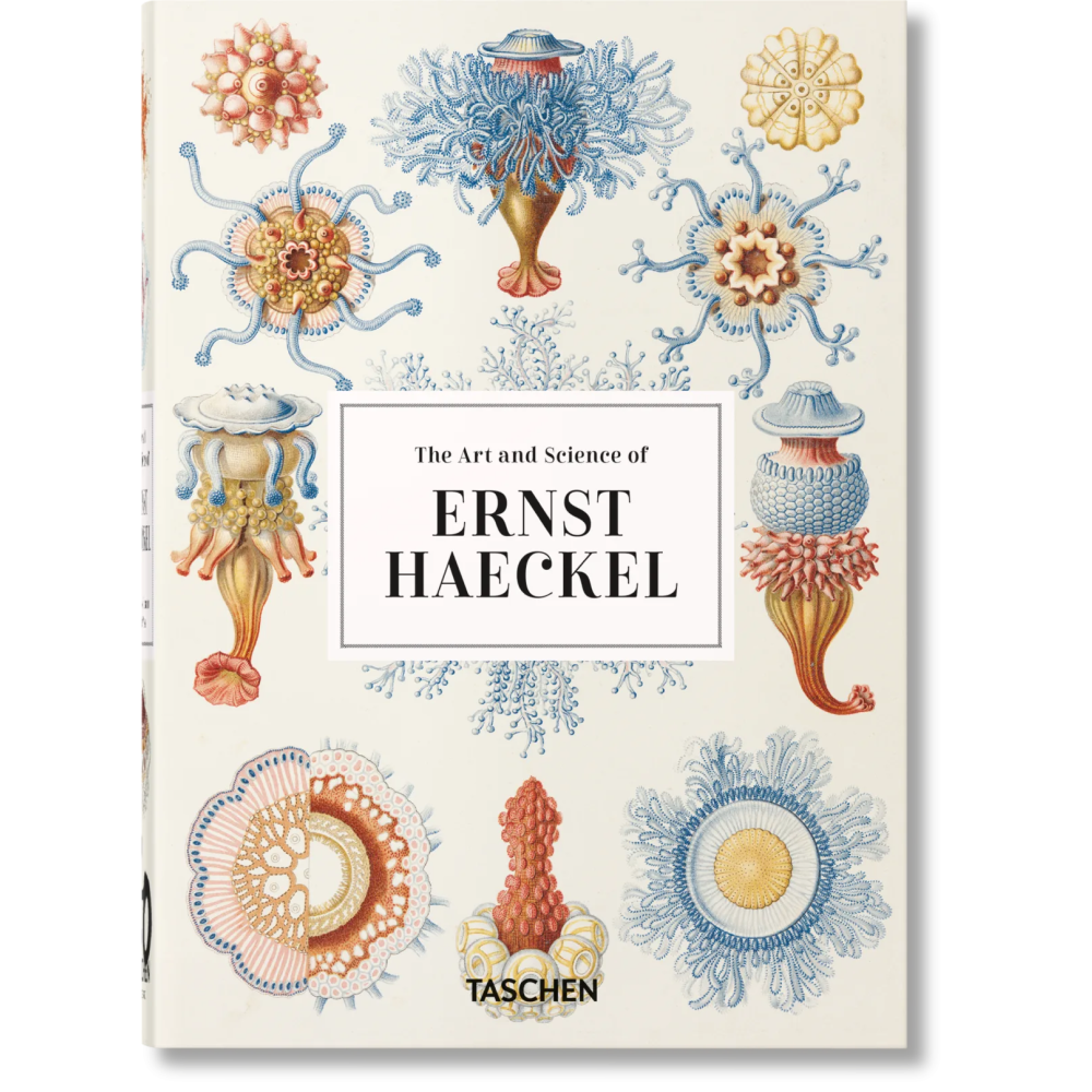 Книга на английском языке "The Art and Science of Ernst Haeckel", Rainer Willmann