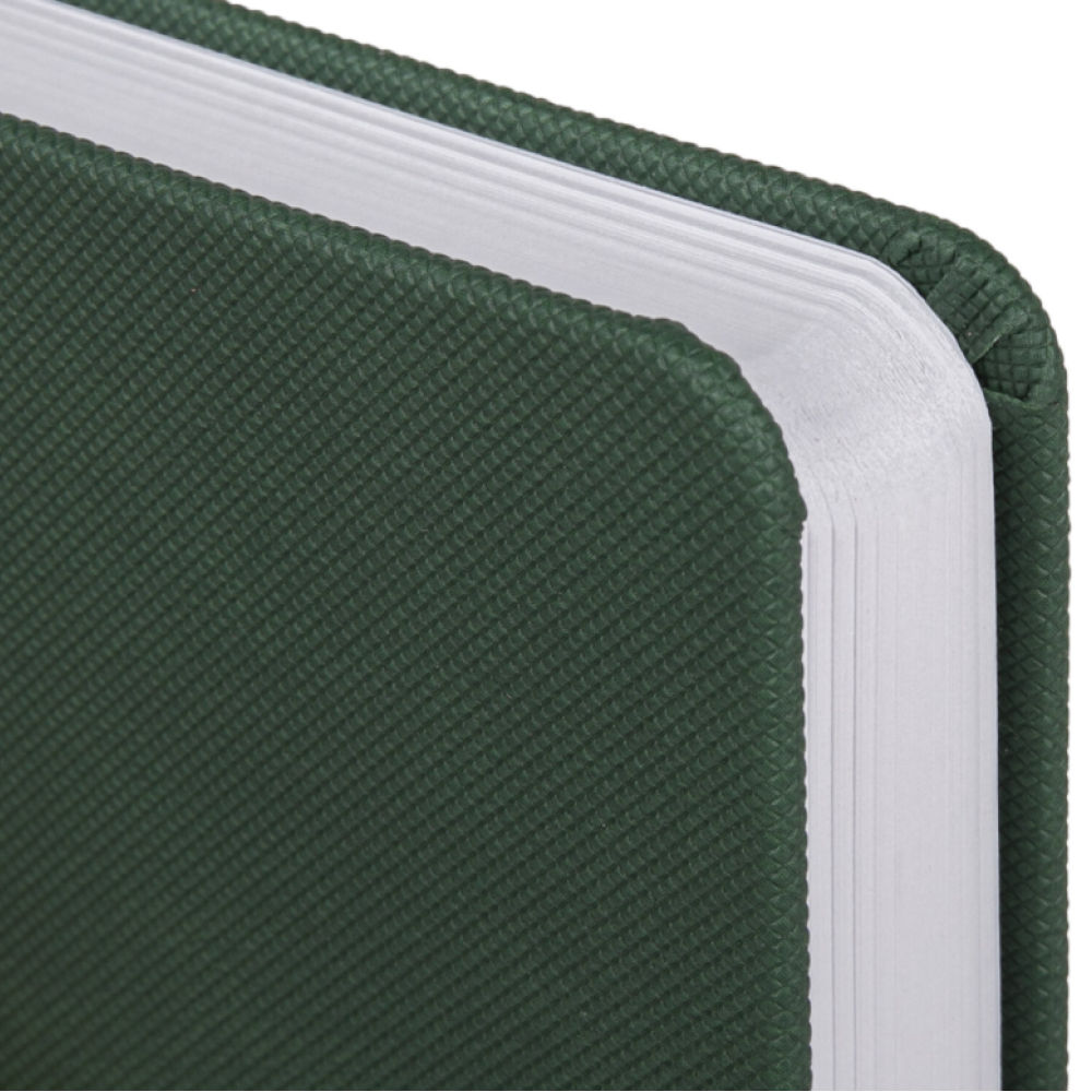 Ежедневник датированный "Control" 2026, А5, 336 страниц, зеленый