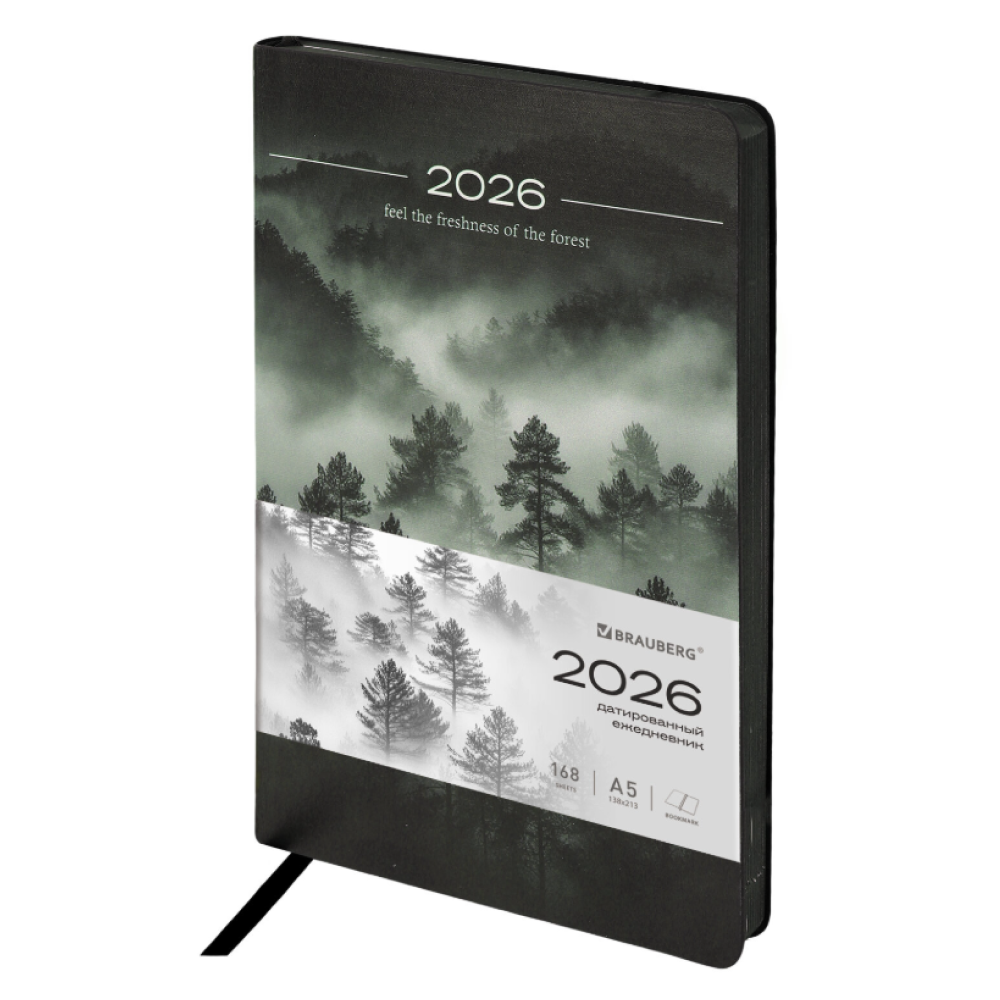 Ежедневник датированный "Vista. Mist", А5, 336 страниц, черный, серый, 2026